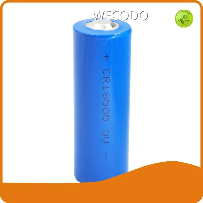 Lithium Ion Battery Manufacturer by WECODO-1 1