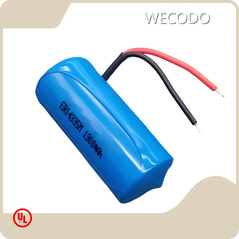 Lithium Thionyl Chloride Aa Battery Wholesale - WECODO 1