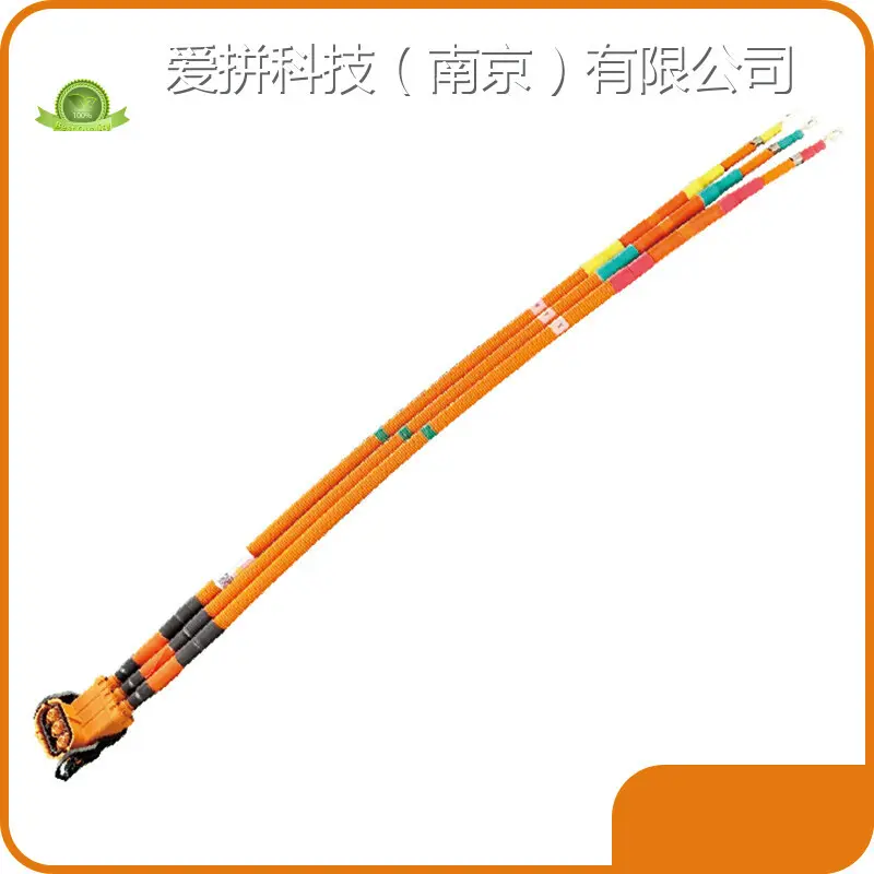 AUPINS 6mm 3 Phase Cable with Custom Services for Car 1