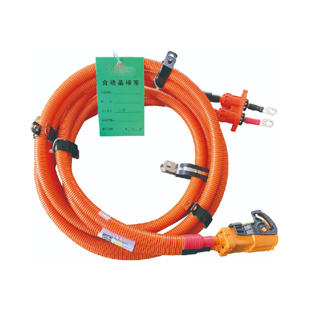 Câble PDU 1