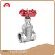 Gate Valve API 598 - - HuiYi Valve 1