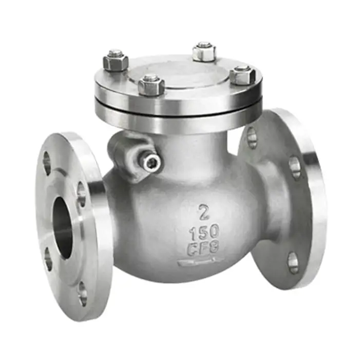 OEM Stainless Steel 1.6Mpa 2.5Mpa 150 LB Flanged End Swing Type Check Valve 1