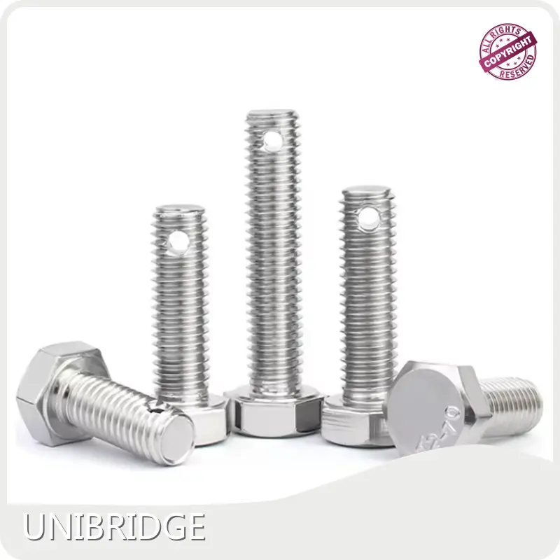 Custom Fastener Manufacturer Shanghai by UNIBRIDGE-1 1