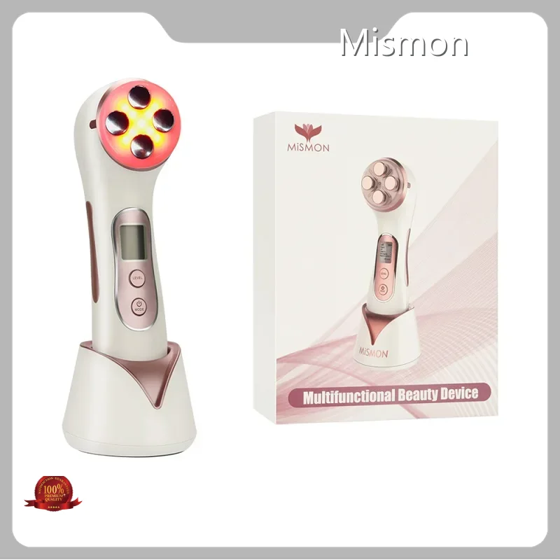 Beauty Equipment Factory Manufacturers 306C 1