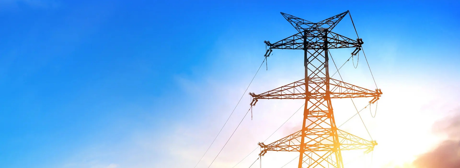 Professional Current Transformer Manufacturer Since 2005