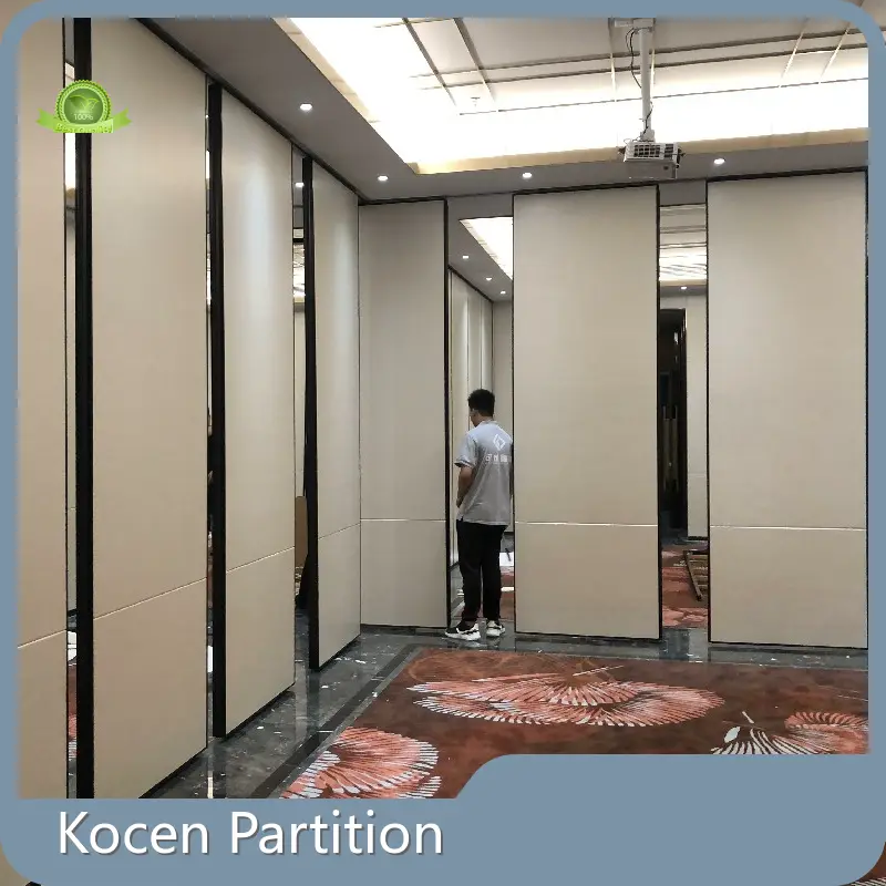 Glass Partition Systems - - Kocen Partition-1 1