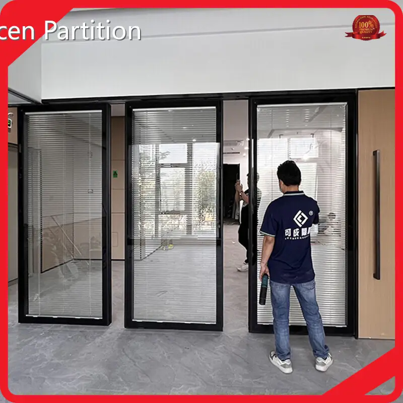 Office Glass Partition Walls - - Kocen Partition 1