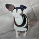 Best Oil Painting From Photo with Good Price 2