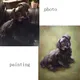 Painting Made by Dog for House Manufacturing 2