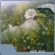 Hot Sale Custom Oil Painting From Photo for House 1
