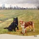 Worldwide Landscape Oil Painting Images From China for Sale 1
