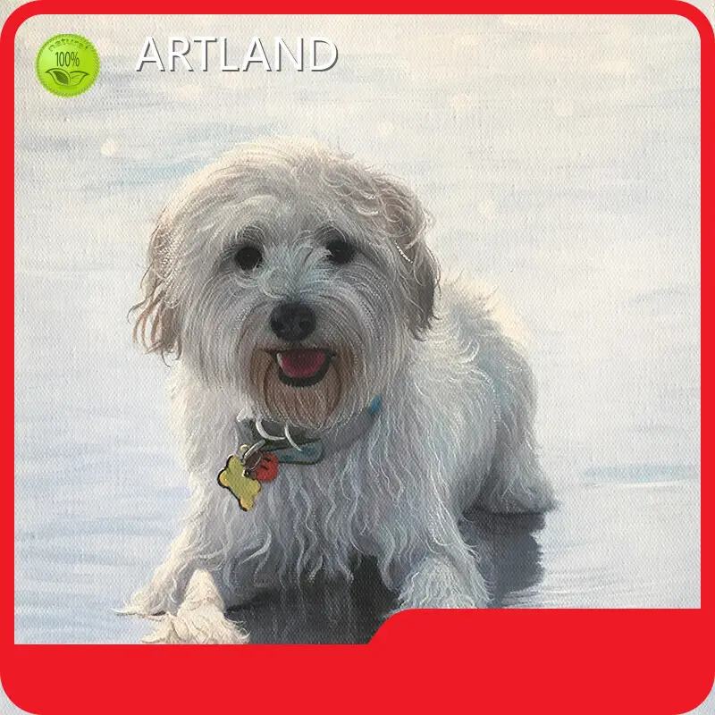 Low-cost Painting Pet Painting Pet Company 1