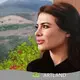 Factory Price Rose Oil Painting Images with Good Price for Apartment 1