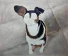 Hot Sale Oil Painting Drawing Pictures Oil Painting Drawing Pictures Company 3