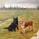 Newest Beautiful Painting Photo for Sale 1