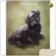 Painting Made by Dog for House Manufacturing 1