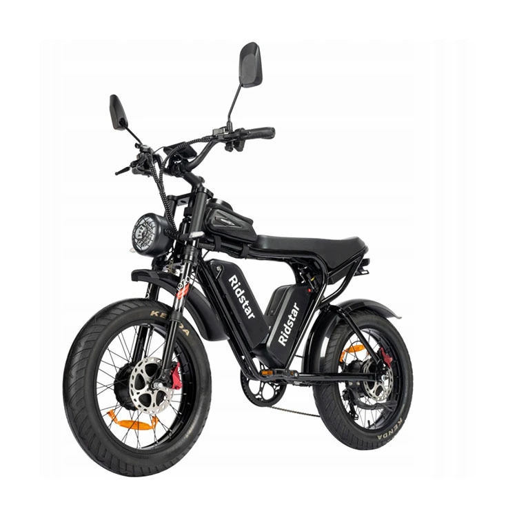 Ridstar Q20 PRO Electric Bicycle 2000W Tire Frame Size 20*4.0 inch Fat Tire Aluminum Wheel 20 Black 2000W 1