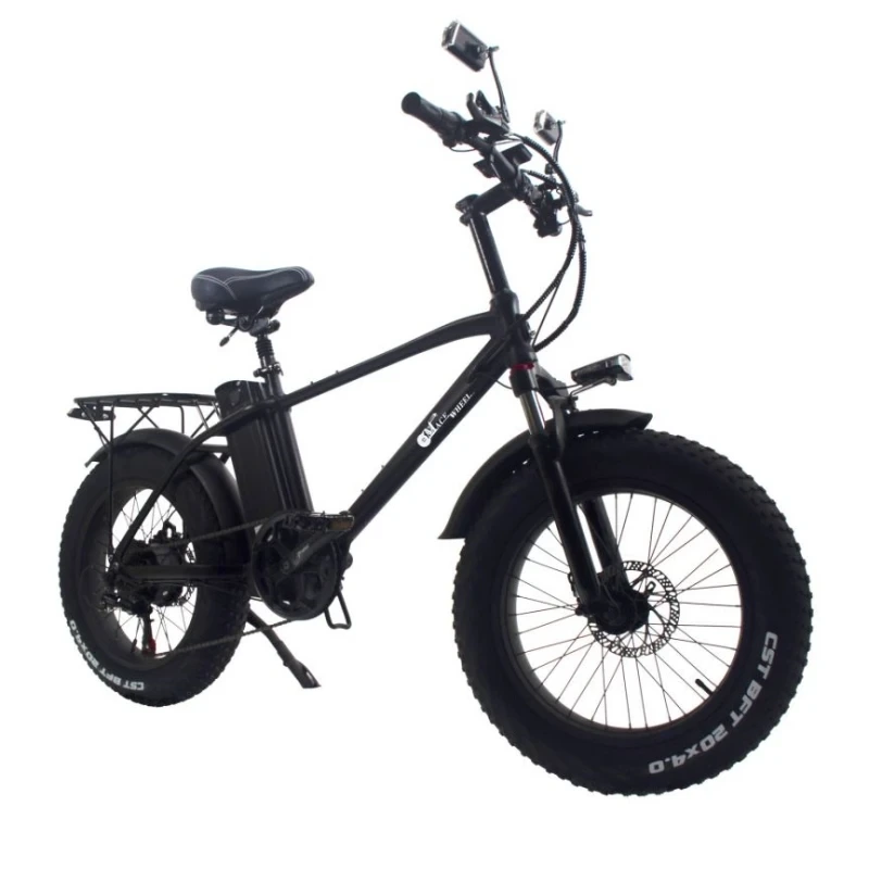CMACEWHEEL T20 750W 48V 17AH 20Inch Fat tire Electric Mountain Bike 25KM/H 100KM - cheetahwheel 1
