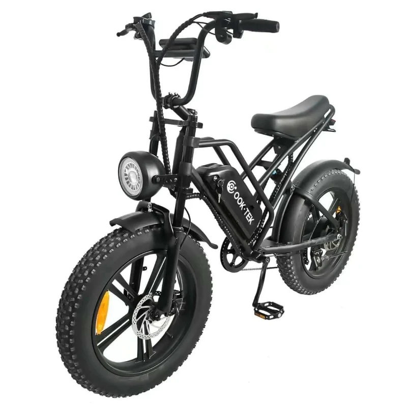OOKTEK E20 750W 48V 16AH Viteză maximă 45Km/h Încărcare maximă 120KM 55KM per încărcare Bicicletă electrică Fat Tire 20inch - roată ghepard 1