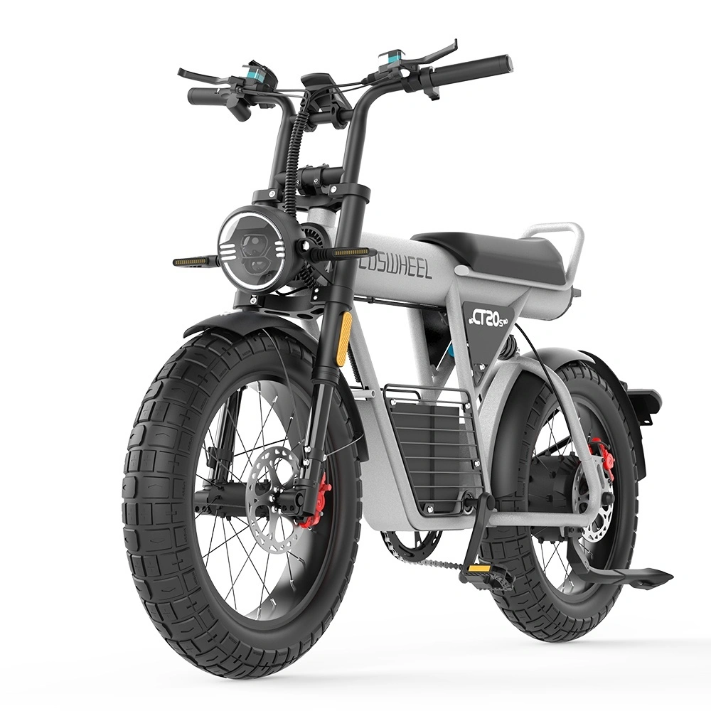 Fat tyre off-road e-bike CT20S Super Power 1