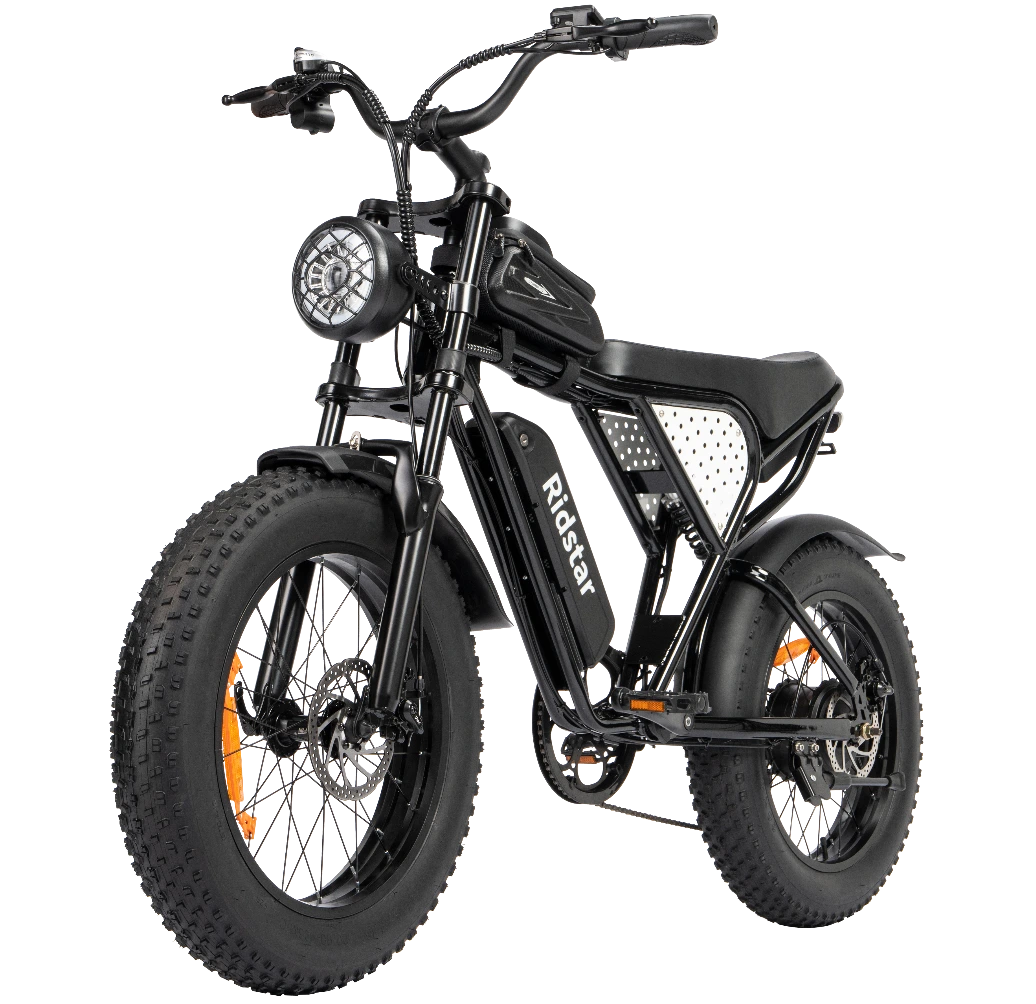 Ridstar Electric Bike Q20 MINI 1