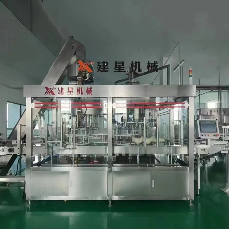 Automatic Edible Oil Filling Machine Manufacturers 10