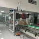 Top Auto Case Packer Auto Case Packer Company 14