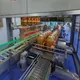 Top Auto Case Packer Auto Case Packer Company 8
