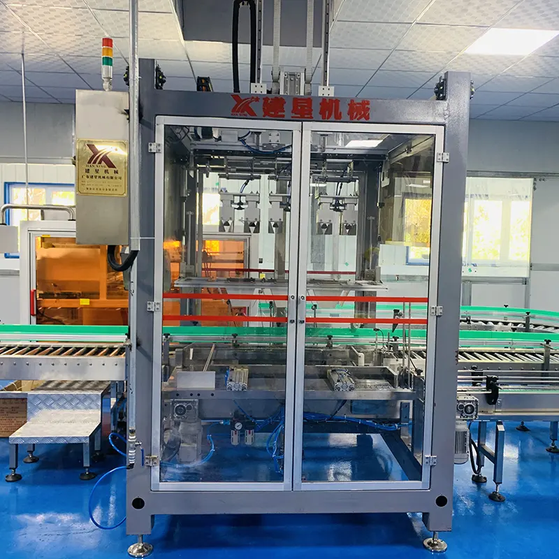 Top Auto Case Packer Auto Case Packer Company 2