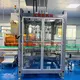 Top Auto Case Packer Auto Case Packer Company 2