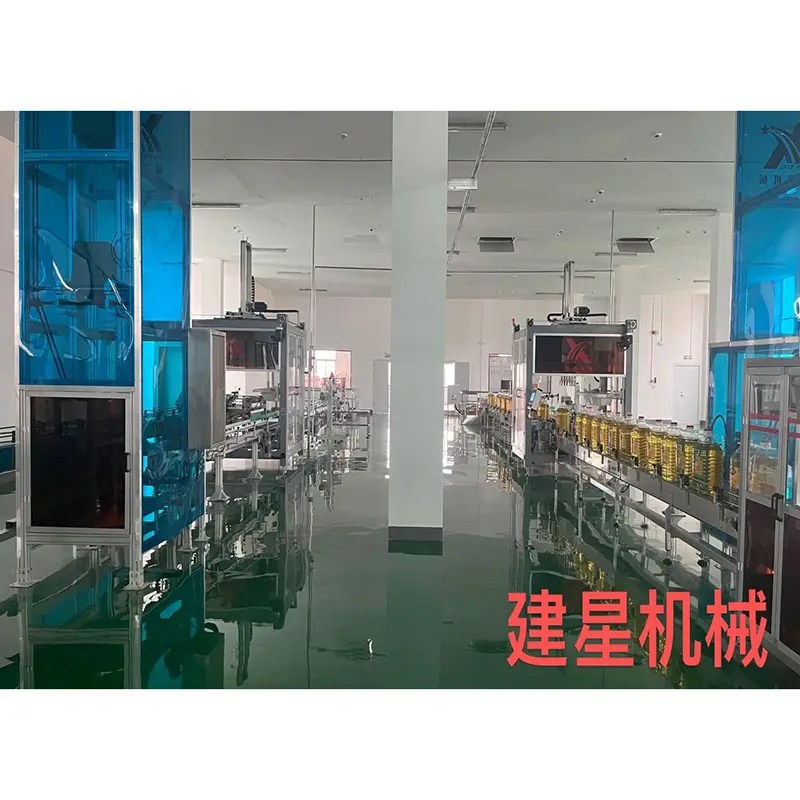 Top Auto Case Packer Auto Case Packer Company 12