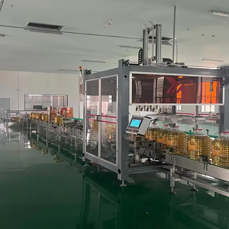 Top Auto Case Packer Auto Case Packer Company 5