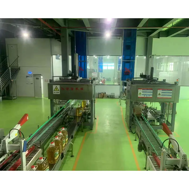 Top Auto Case Packer Auto Case Packer Company 11