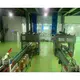 Top Auto Case Packer Auto Case Packer Company 11