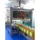 Top Auto Case Packer Auto Case Packer Company 4