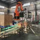 Best Palletizer Machine 12