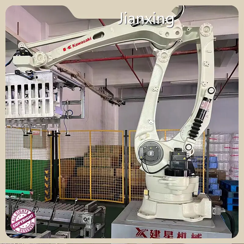 Professionalautomated Palletizer 1