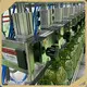 Professional Edible Oil Bottle Filling Machine 1