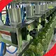 High-quality Cooking Oil Filling Machine Manufacturers 1