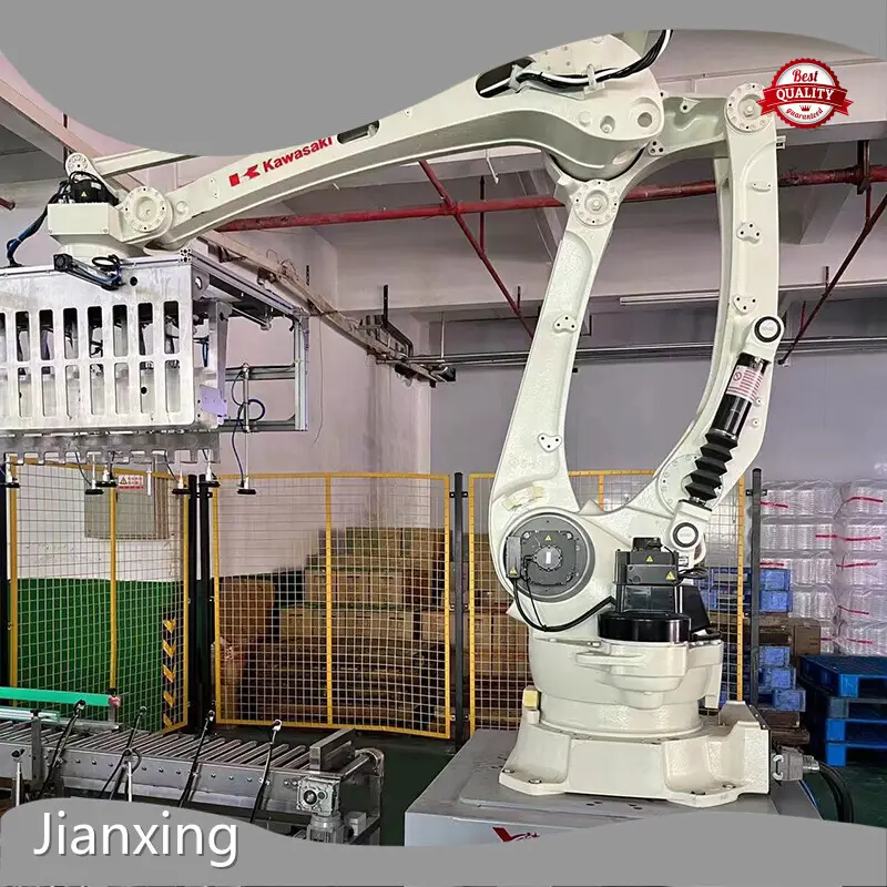 Professional Robotic Case Packer and Palletizer 1
