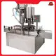 Newtin Cap Sealing Machine 1