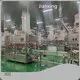 Topconveyor System for Sale 1