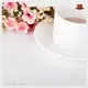 Quartz Stone Company BST-A3001S Bestone 1