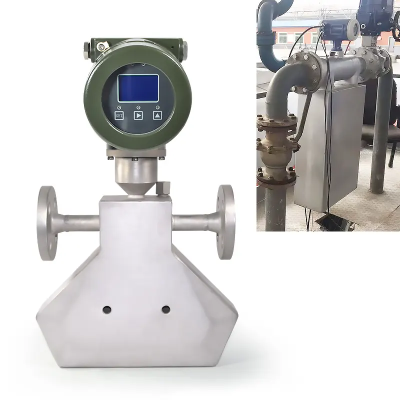 Professional Coriolis Mass Flow Meter 4