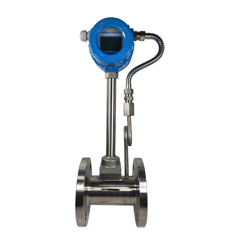 Pulse RS485 Propan Argon Wasserstoff LPG Biogas CO2 Stickstoff Sauerstoff Gas Vortex Durchflussmesser 5