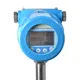 Top Thermal Mass Flow Meter for Natural Gas for Sale 3
