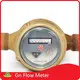 Flowmeter for Liquid Vendor 1