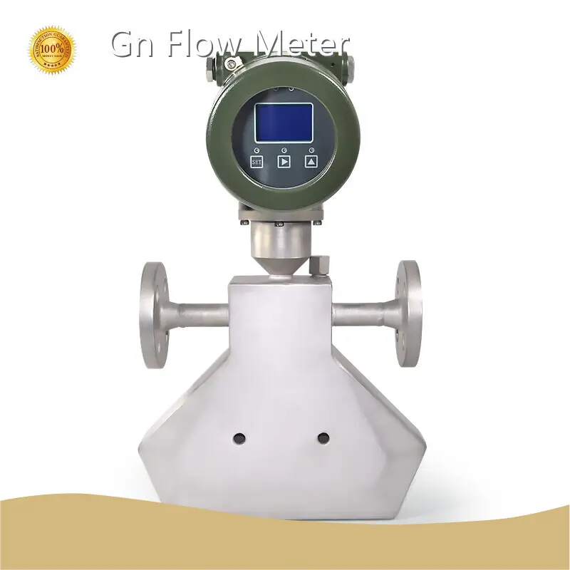 Professional Coriolis Mass Flow Meter 1