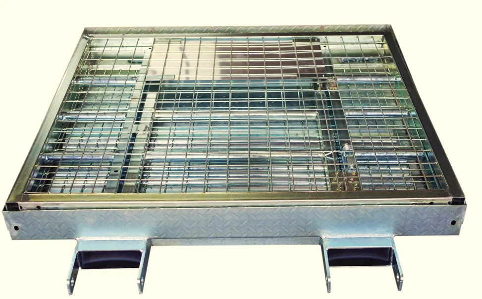 2ton Vlift Hot Sale Type Wp-g Work Platform/mancage 3