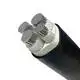 Jiangnan Cable Высоковольтный алюминиевый кабель Завод по производству алюминиевых кабелей высокого напряжения 3
